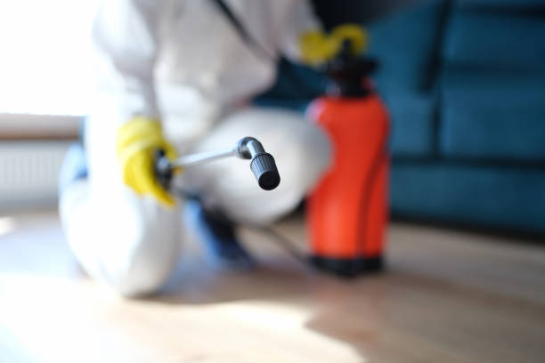 Reliable Wakefield, MI Mold Removal Solutions